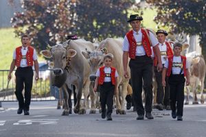 Alpenzeller Tracht